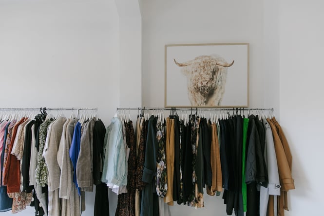 A close up of clothes hanging on a rack underneath a picture of a bull.