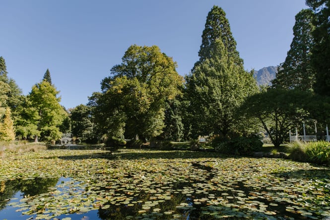 A lake inside Queenstown Gardens.