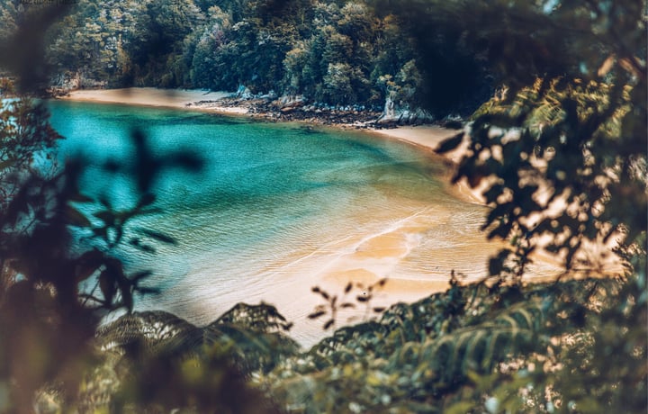 A view of a beach at the Abel Tasman from above.