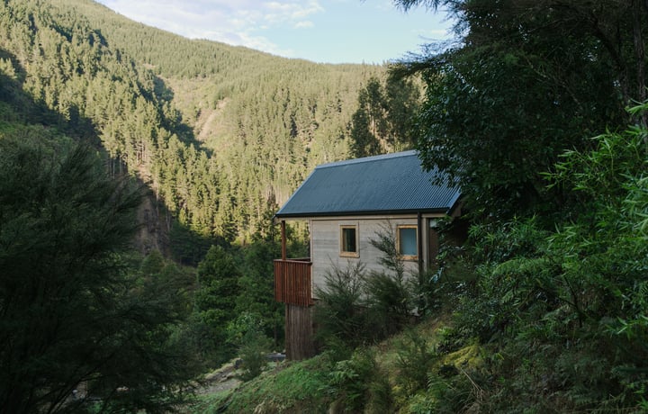 A view of Maitai Whare Iti cabins nestled within native bush in Nelson.