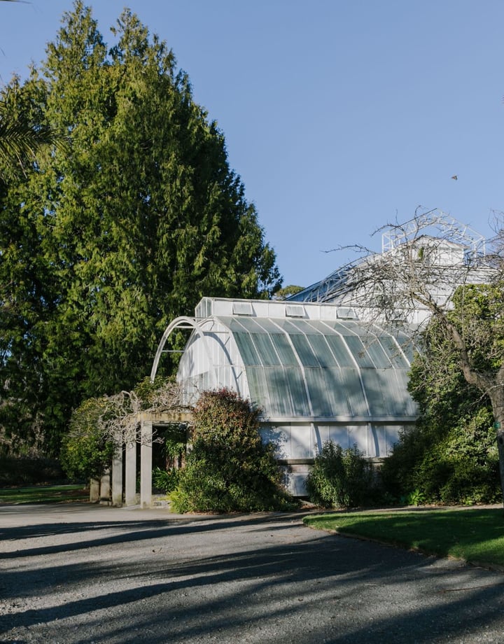 The old greenhouse in the centre of the Christchurch botanical gardens is surrounded by tall green trees.