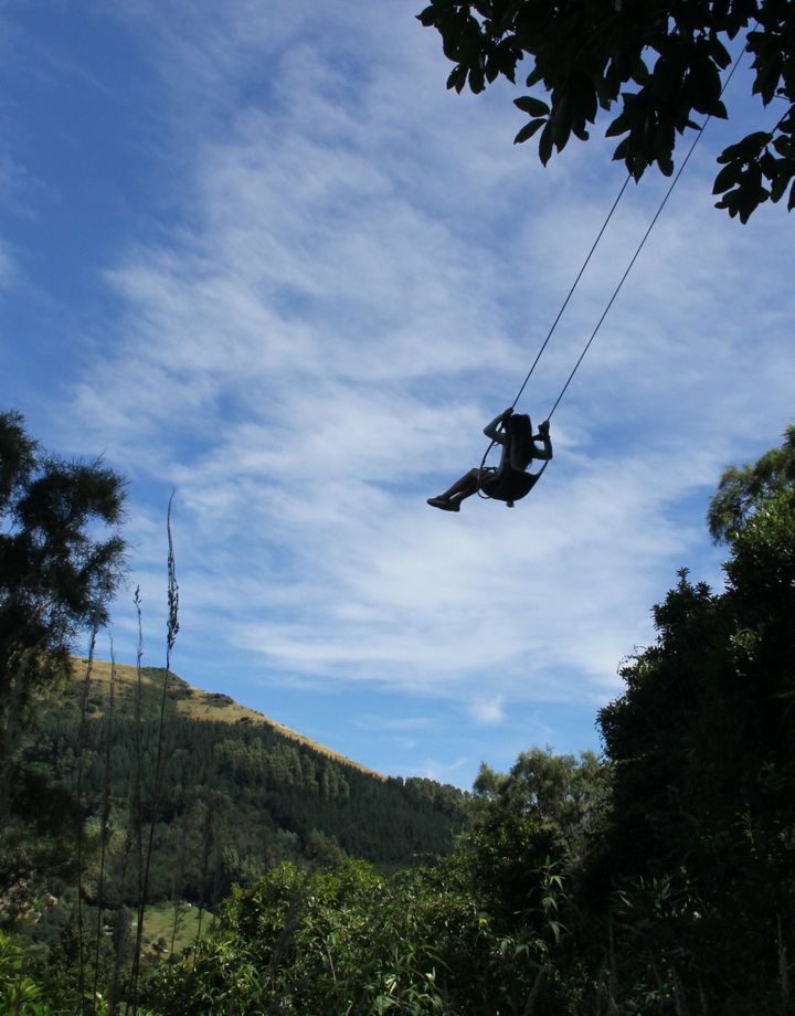 A person swinging on a swing over a forested gorge.
