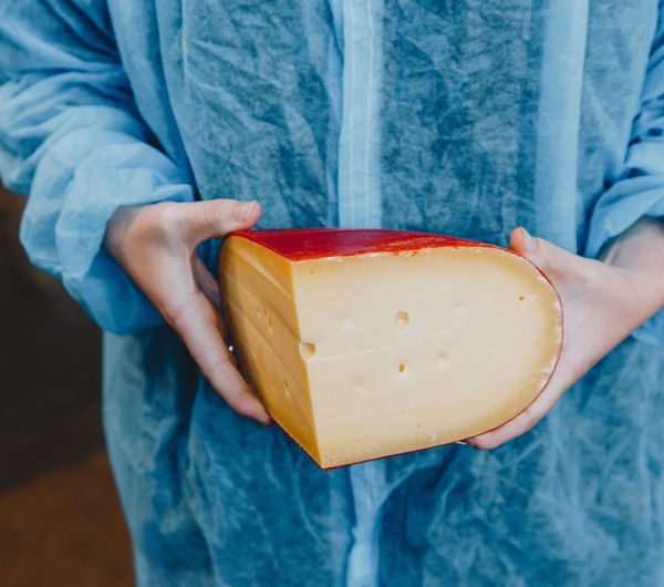 A worker holding a large slice of cheese at Barrys Bay Cheese, Akaroa.