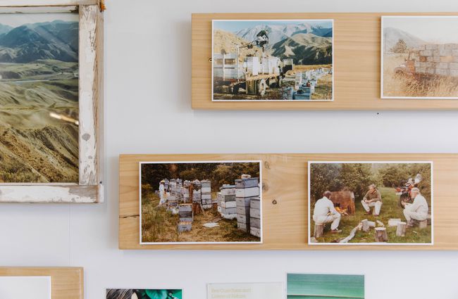 Photos of honey making on the wall.
