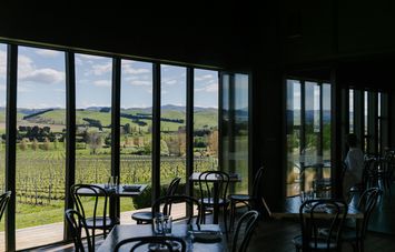 View out of window at Black Estate, North Canterbury towards vines.