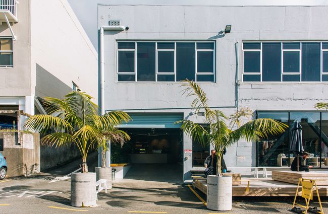 The industrial exterior of Bleached Coffee with palms out front.