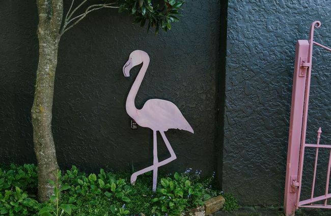 Flamingo statue in the garden at Bloom Cafe, Motueka.