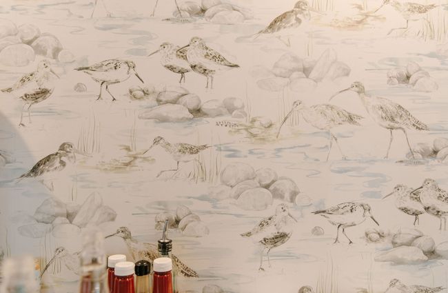 Close up of dotterills on the wallpaper at Blue Lake Eatery and Bar, Tekapo.