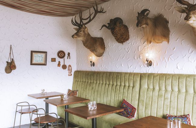 Interior view with taxidermy on the wall.