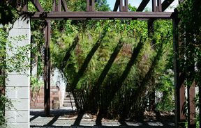 Wooden archway casting shadow on bushes.