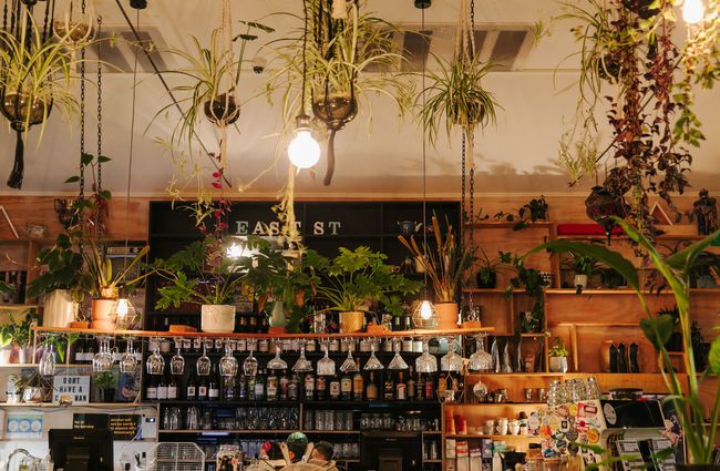 Lots of hanging plants from the ceiling at East St Cafe and Bar.
