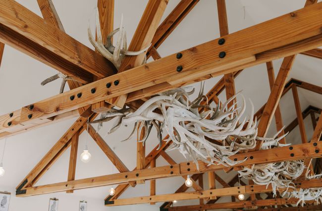 Antlers hanging from the ceiling inside the Farm Barn Café in Fairlie.