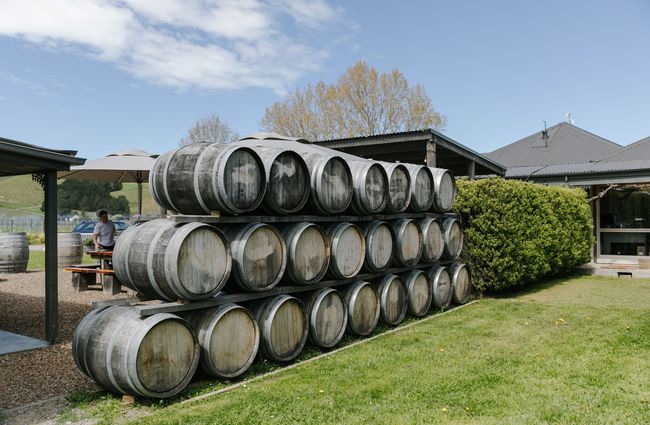 Barrels of wine lined up on the grass outside Greystone Wines Waiapra, North Canterbury.