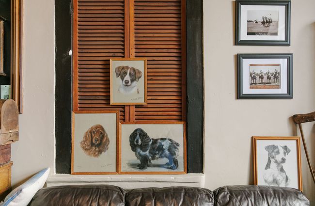 Framed pictures of dogs on a wall at Hector Black's in Timaru.