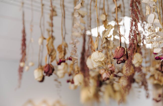 Close up of dried flowers hanging display.