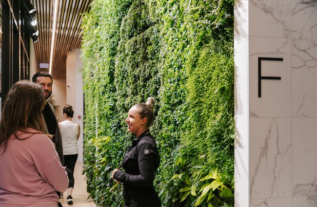 A woman smiling and talking with another woman and man, standing against a wall of greenery at IHF Health Club in Christchurch.