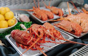 Lobsters on display in the fridge at Karaka Lobster.