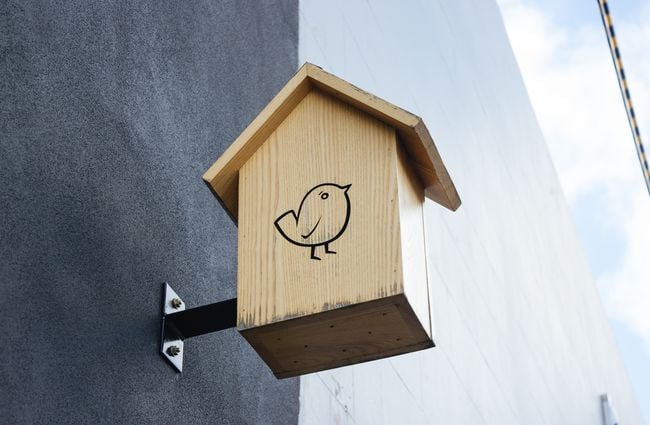 Wooden birds house.