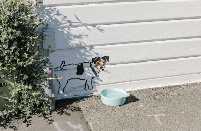 A painting of a dog waiting outside Little Vintage Espresso cafe Amberley, North Canterbury.