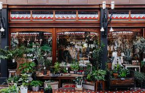 View of the shop exterior surrounded by greenery at Mrs Bottomley's Flowers in Christchurch.