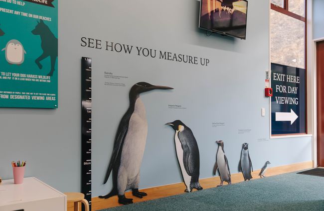 Blue penguin colony museum in Ōamaru.