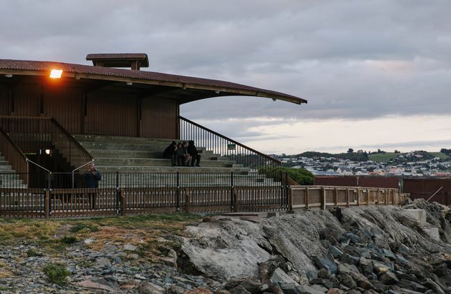 Viewing area for the blue penguins in Ōamaru