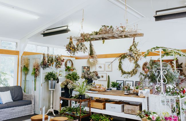 Flower shop interior with counter at the Old School Collective in North Canterbury.
