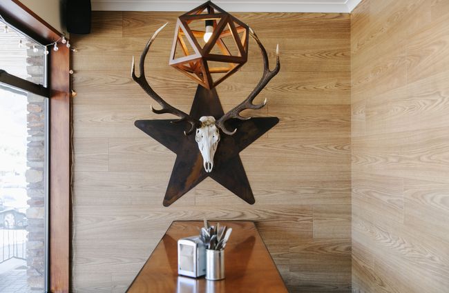 Stag skull mounted on the wall.