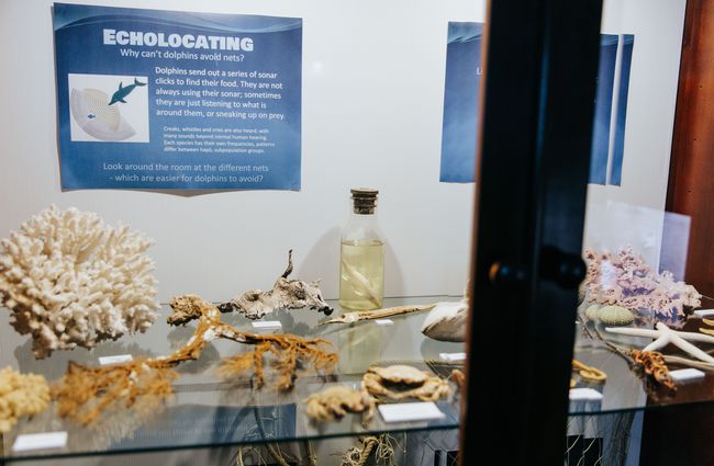 A close up of items inside a glass display.