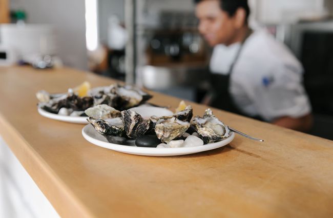 Oysters on plates at Boat Shed Cafe.