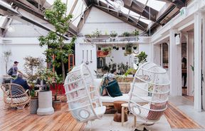 A courtyard full of plants with two hanging white chairs.