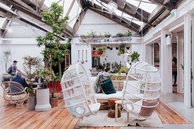 A courtyard full of plants with two hanging white chairs.