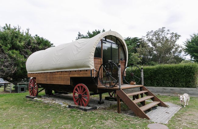 Old fashioned gypsy wagon at Wacky Stays.
