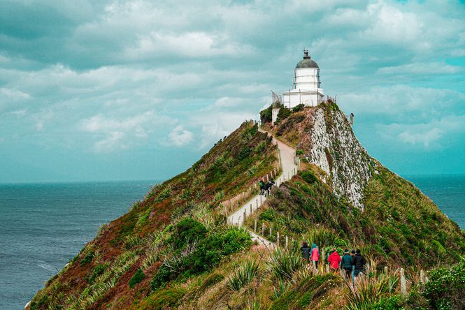 Nugget Point Lighthouse by Advocator SY.