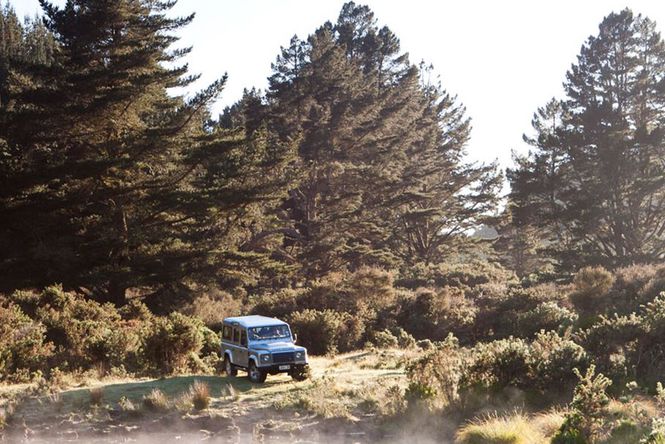 4x4 driving the estate at Treetops Lodge surrounded by trees, Rotorua.