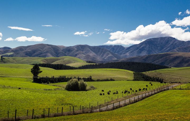 The hills around Fairlie, New Zealand.