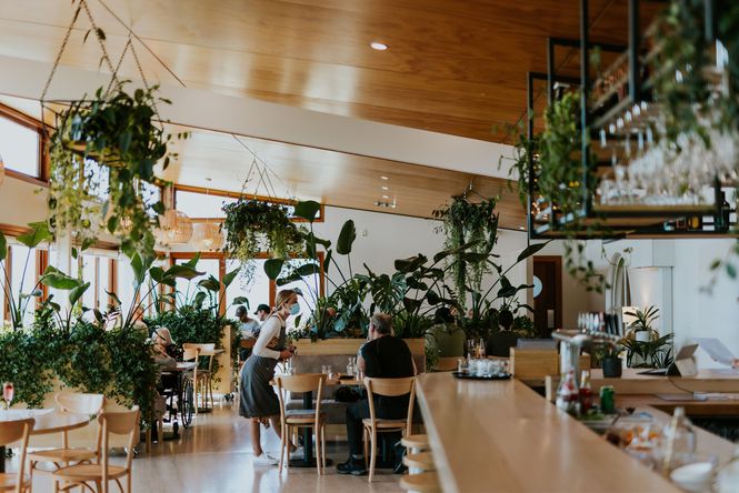 The inside of Del Mar restaurant in Oamaru featuring lots of plants and wooden furniture.