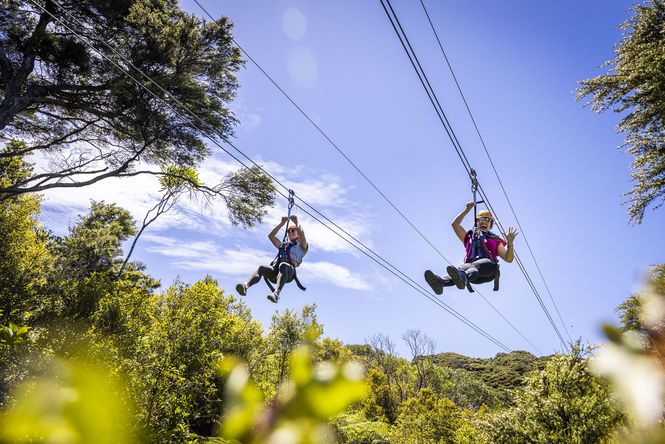 Two people zip lining.
